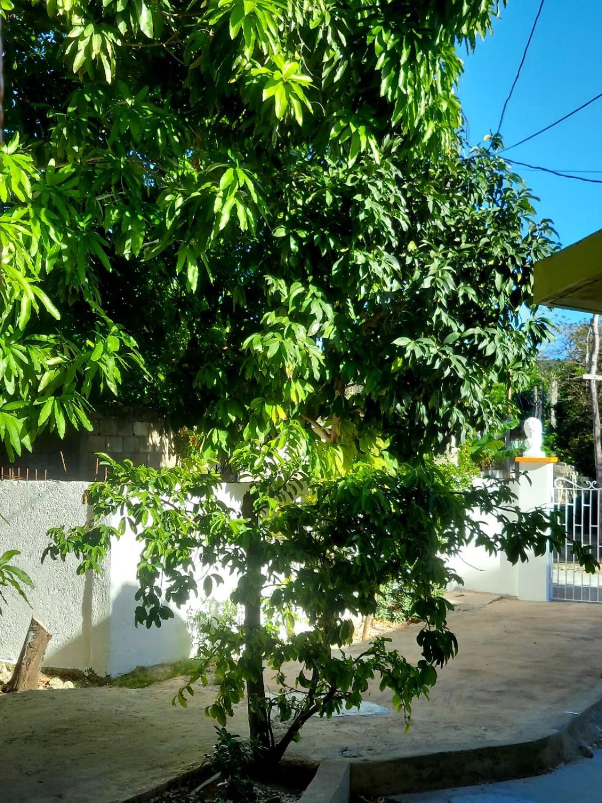 Cas Bed And Breakfast Corral Spring Екстер'єр фото