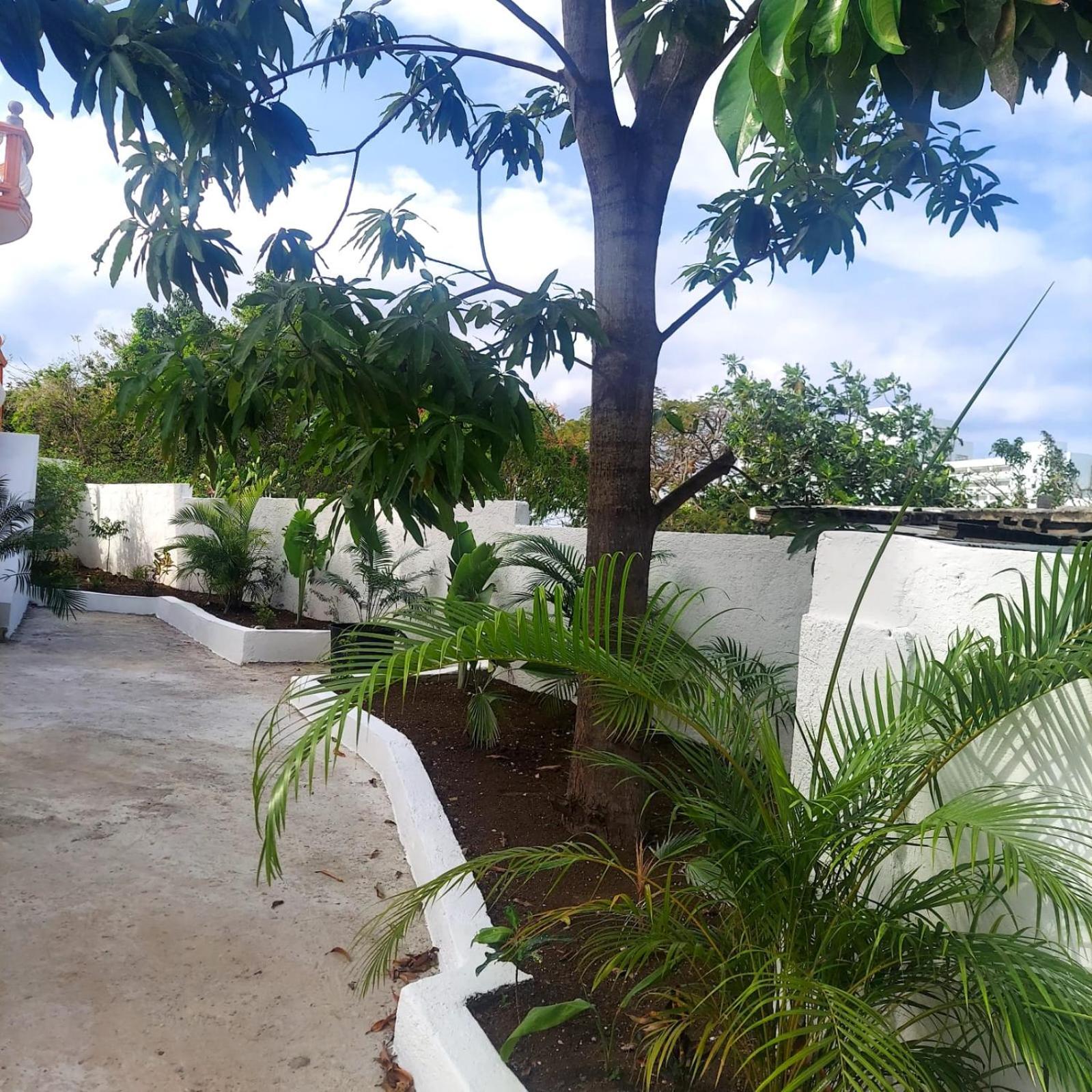Cas Bed And Breakfast Corral Spring Екстер'єр фото